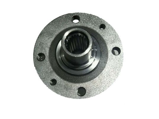 7700704704 Spindle Flanges