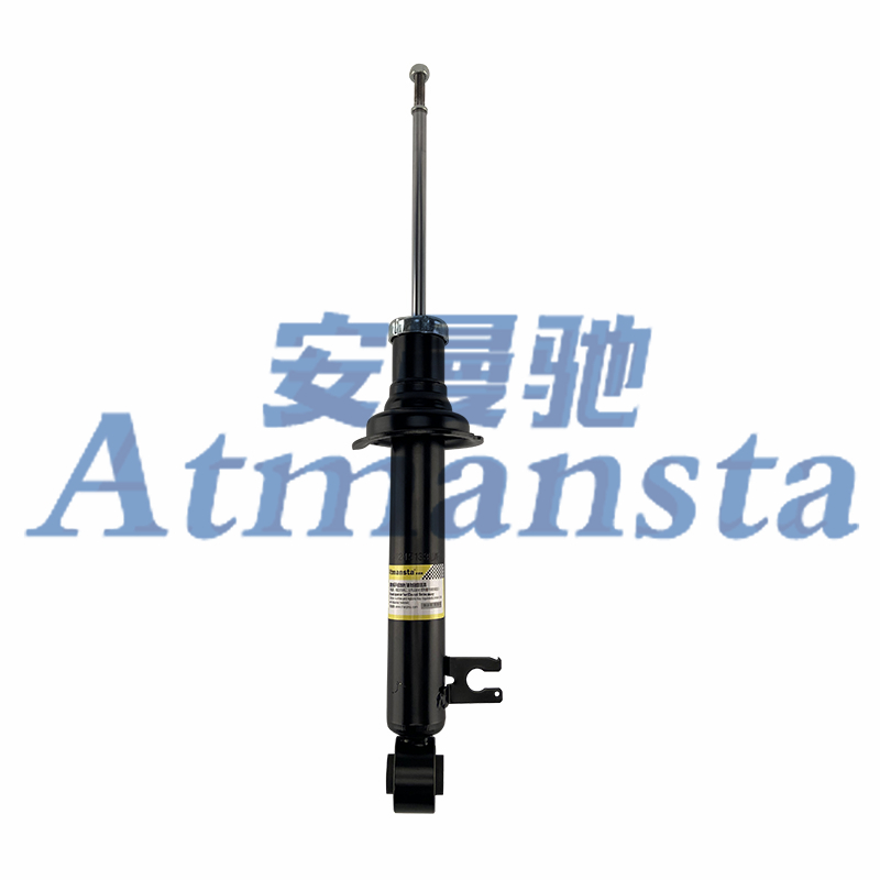 QYT SHOCK ABSORBER 3620003BAD0200 318866 GAC TRUMPCHI 12- RR